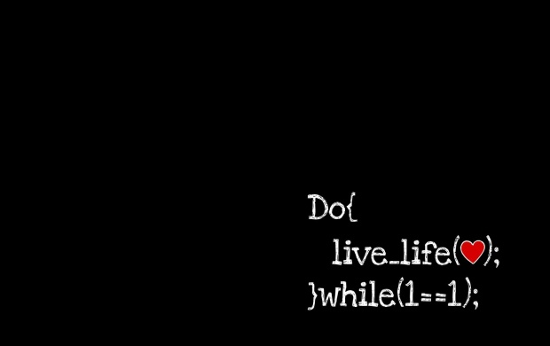 Do While Loop For Life (click to view)