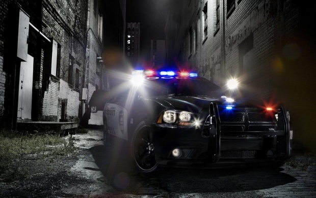 Dodge Charger Pursuit (click to view)