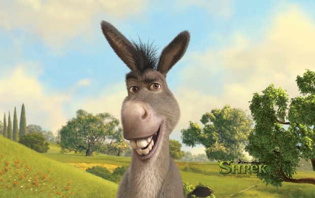 Donkey Of Shrek (click to view)