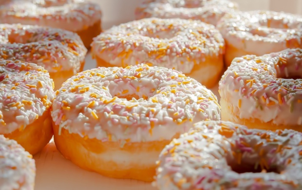 Donuts Food (click to view)