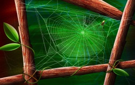 Drawing of Spider on His Web