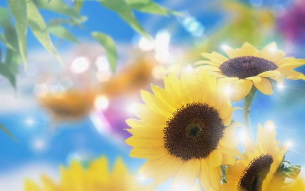 Dreamy Summertime, Sunflowers And Sunlight (click to view)