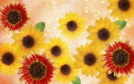 Dreamy Sunflowers Photo Manipulations