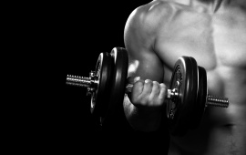 Dumbbell Arms Fitness