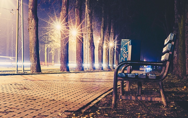 Empty Bench At Night (click to view)
