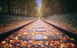 Empty Forest Railway