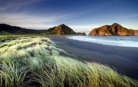 Empty New Zealand Beach