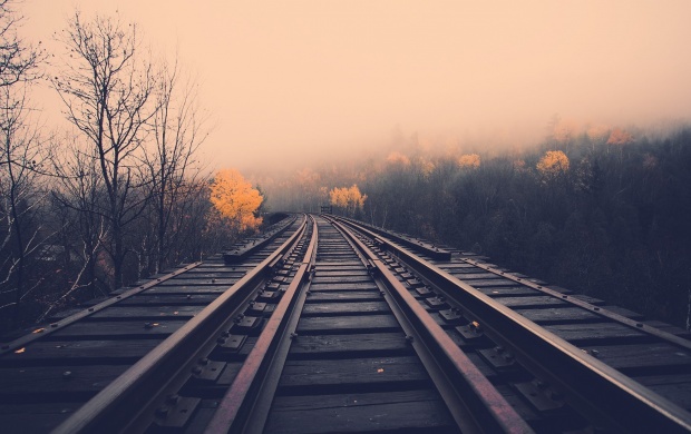Empty Railroad Track (click to view)