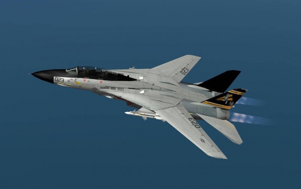 F-14 Tomcat (click to view)