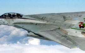F 14 Tomcat NG