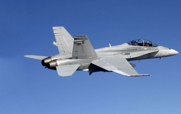 FA 18 Super Hornet Fighter Bomber (click to view)