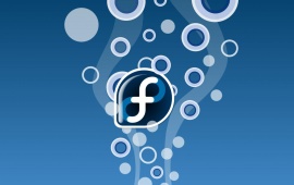 Fedora Bubble