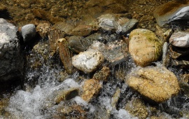 Flowing water on the stone