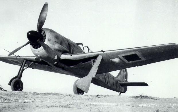 Focke Wulf Fw 190 (click to view)
