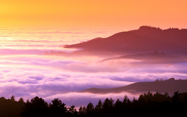 Foggy Hills (click to view)