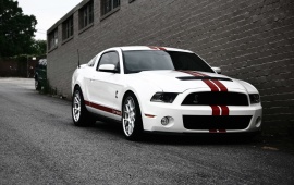 Ford Mustang Shelby GT500 White