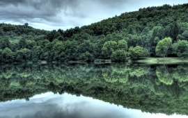 Forest Reflection in a Lake