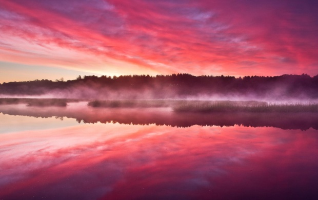 Forest Trees Lake Sunrise Mist (click to view)