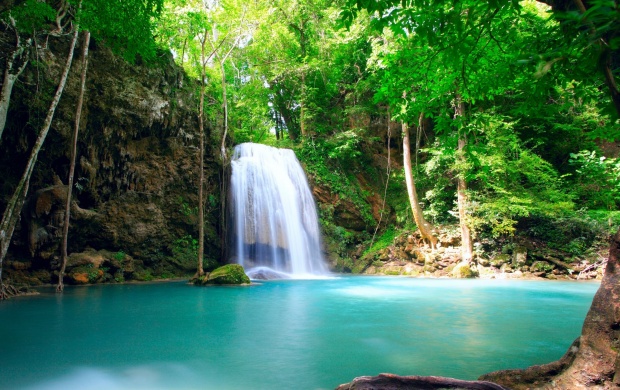 Forest Tropical Waterfall