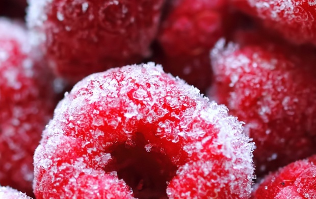 Frozen Red Berries