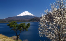 Fuji Mountain Japan