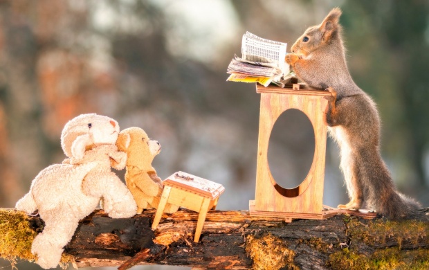 Funny Squirrel Lesson (click to view)
