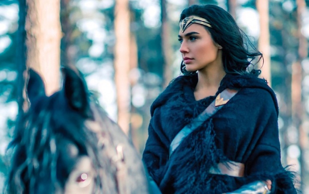 Gal Gadot As Diana Prince In Wonder Woman (click to view)