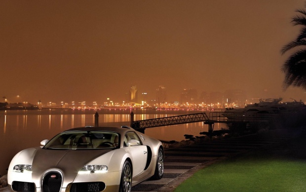 Gold Bugatti Veyron 2010 (click to view)