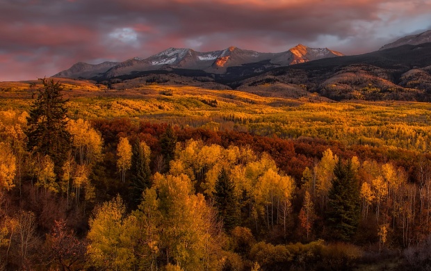 Golden Glow Autumn Trees Mountains