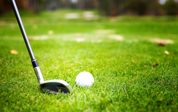 Golf Club Ball (click to view)