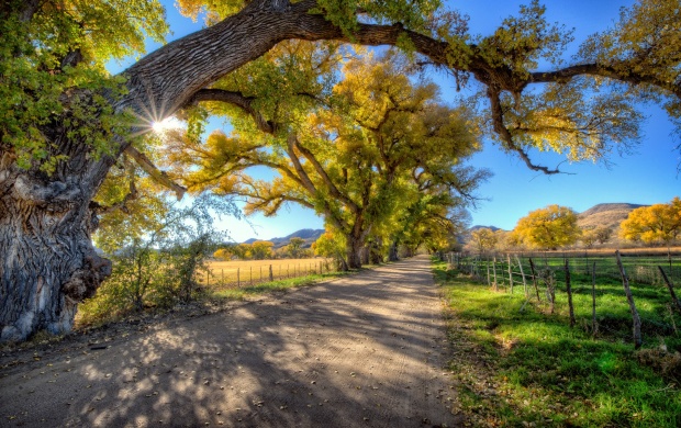 Gorgeous Country Road (click to view)