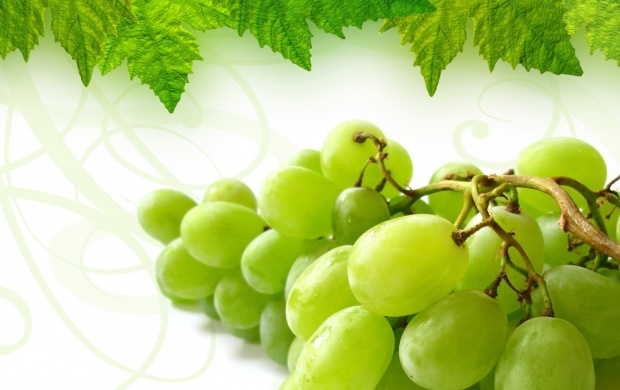 Grapes Bunch (click to view)