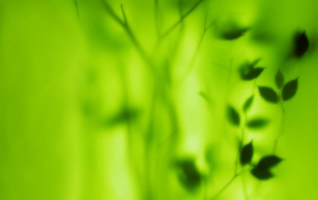 Green Blurred Leafs (click to view)