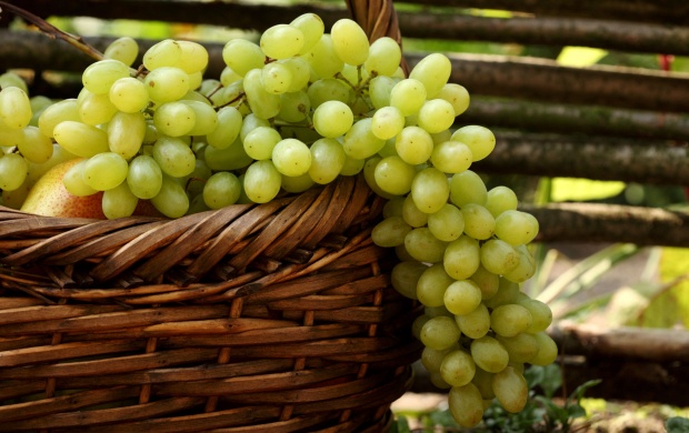 Green Grapes In Basket (click to view)