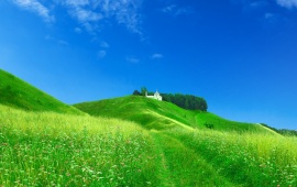 Green Hills and Blue Sky