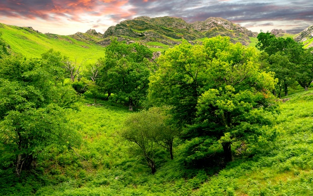 Green Landscape (click to view)
