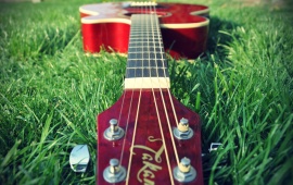 Guitar On Grass