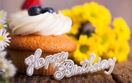Happy Birthday Cupcake Holiday
