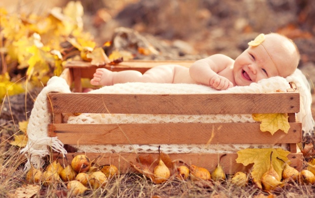 Happy Boy In Wooden Box (click to view)