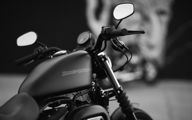 Harley Davidson Iron 883 2013 (click to view)