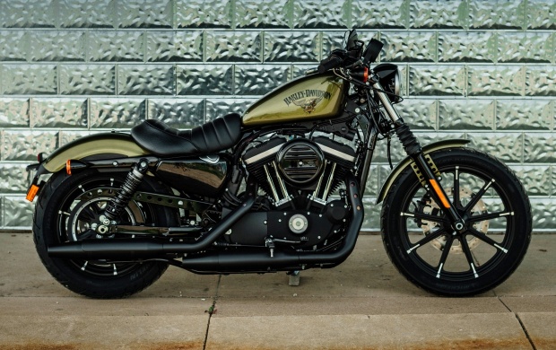 Harley-Davidson Iron 883 2016 (click to view)