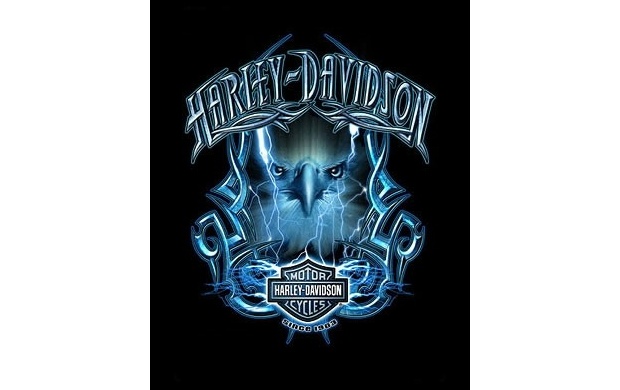Harley Davidson Logo (click to view)