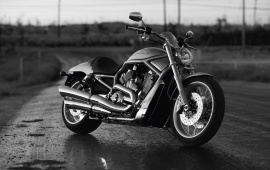 Harley Davidson V-Rod Night Rod Special 2016