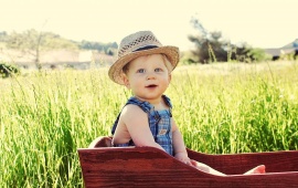 Hat Boy Sitting On Meadow