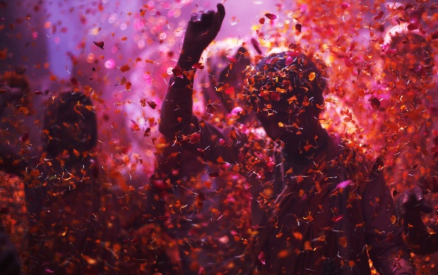 Holi Spring Festival Of Colors Celebration (click to view)