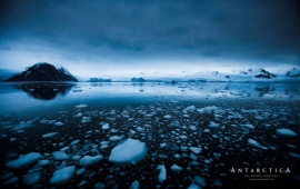 Ice Blocks in Antarctica