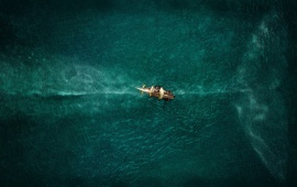 In The Heart Of The Sea 2015