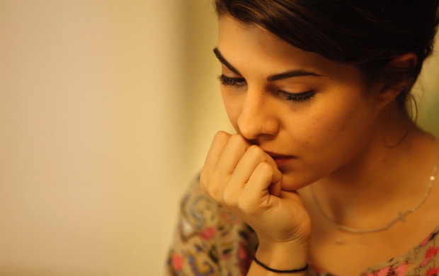 Jacqueline Fernandez As Jenny David Brothers 2015 (click to view)