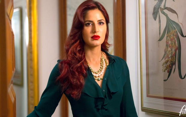 Katrina Kaif In Fitoor (click to view)