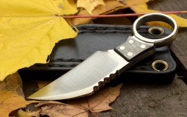Knife Weapon And Leaves